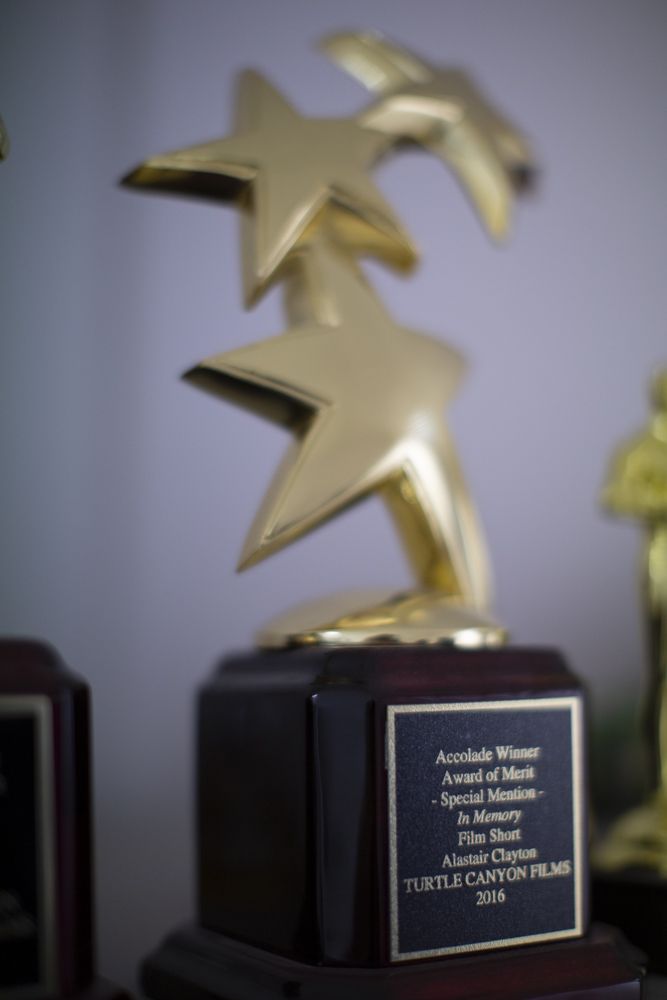Award of Merit trophy for a Turtle Canyon Films short, 2016