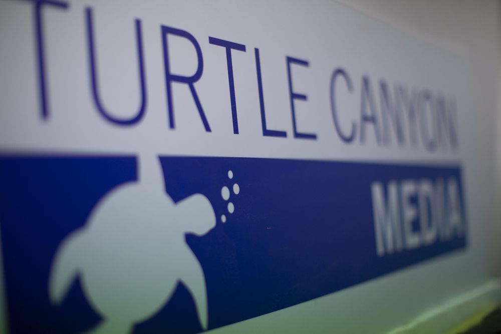 The Turtle Canyon Media sign at our Pinewood office